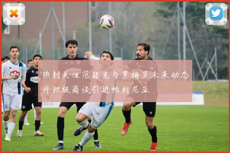 热刺关注范赫克与罗梅罗未来动态并积极商谈引进帕利尼亚