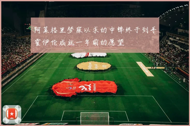 阿莱格里梦寐以求的中锋终于到手霍伊伦成就一年前的愿望